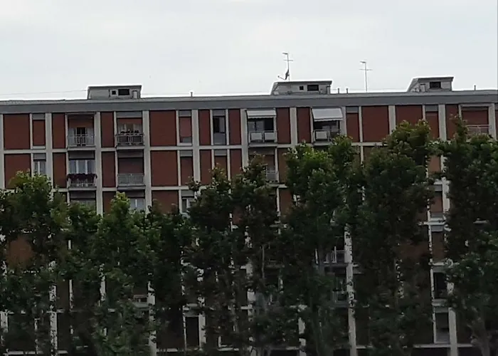 Cav Diamond By People